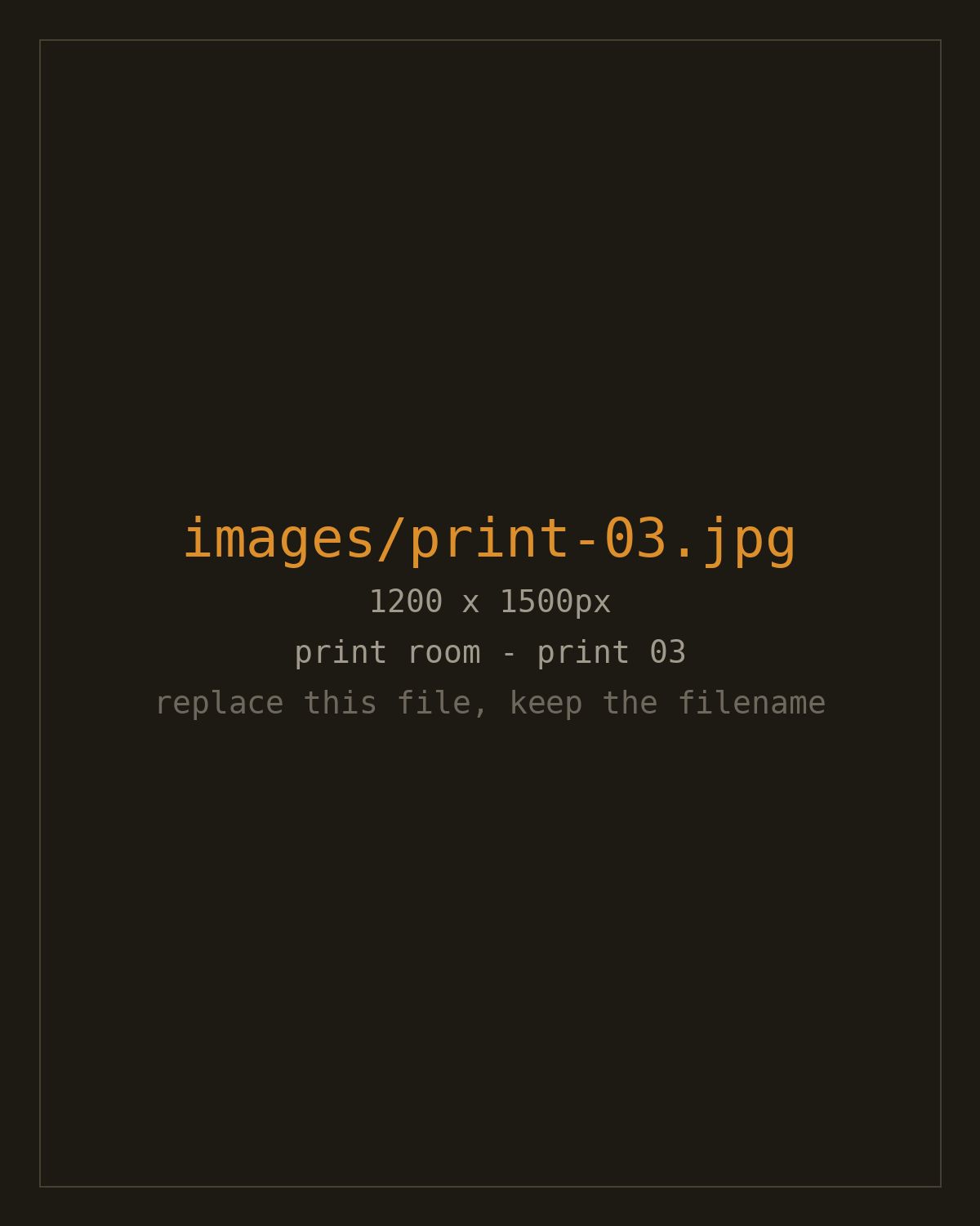 Print 03
